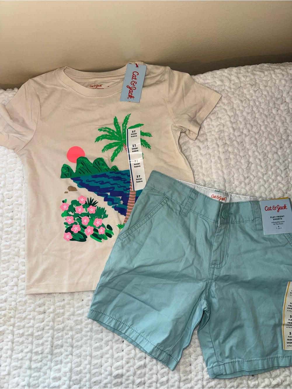 Cat & Jack Kids' Cream Graphic Tee with Sea Blue Shorts